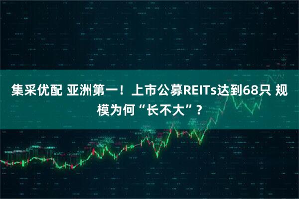 集采优配 亚洲第一！上市公募REITs达到68只 规模为何“长不大”？