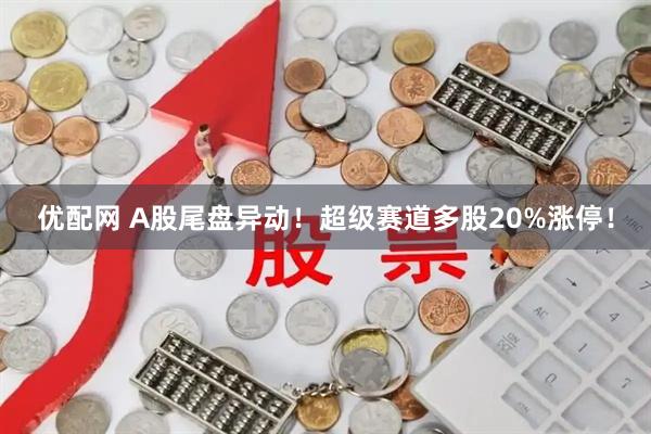 优配网 A股尾盘异动!超级赛道多股20%涨停!
